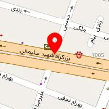 دکتر محمدکاظم محمودی