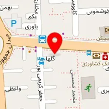 دکتر ابوالقاسم رافع