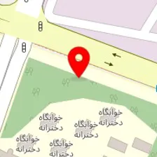 دکتر میرصیا روشن نیا