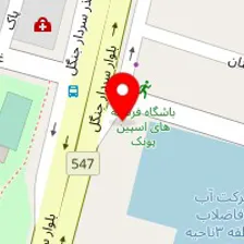 آموزش و انجام تتو روی بدن به صورت حرفه ای