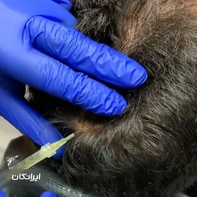 کلینیک زیبایی دکتر زریان جعفری