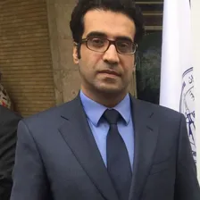 دکتر محمدعلی پایدار