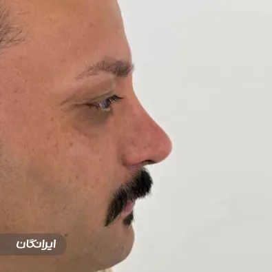 دکتر محمدعلی پایدار