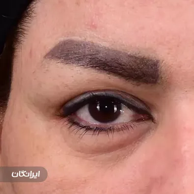 دکتر امیر دریانی