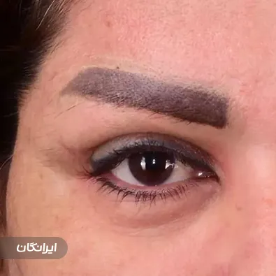 دکتر امیر دریانی