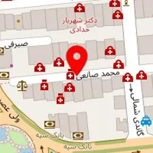 دکتر خدیجه ملک زاده