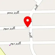 دکتر محمدرضا ثابت مهر