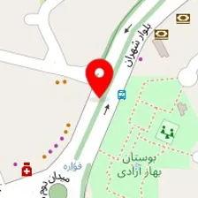 دکتر سهیلا انصاری پور