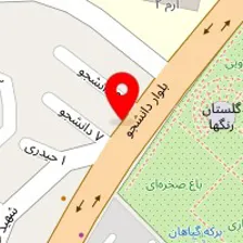 موسسه زبان رادین