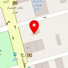 تدریس زبان تخصصی (رنیسی )