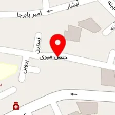 آموزشگاه زبان دکتر امیر