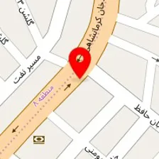 کلینیک اختصاصی طیور دکتر محمود متولی