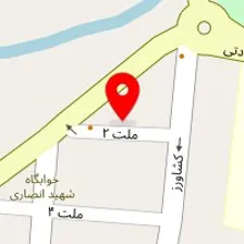 کلینیک دامپزشکی دلفین