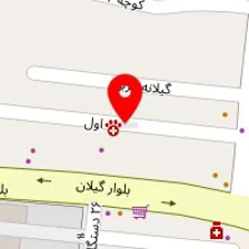 کلینیک دامپزشکی گلسار