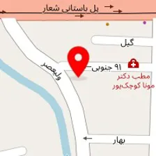 بیمارستان دامپزشکی شبانه روزی گیلان | Guilan Pet Hospital