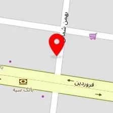 فیزیوتراپی و توان بخشی حیوانات خانگی آریل