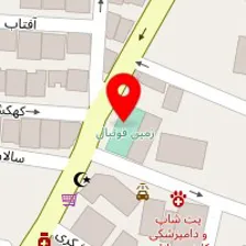 آکادمی تای چی علوی