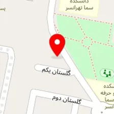 خدمات فنی اتومبیل میگونی