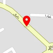 عکاسی نخل طلائی