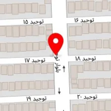 مجموعه خدمات خودرویی نانوپلاس