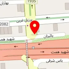 آرایشگاه حیوانات خانگی گرومر