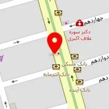 پت شاپ پتکده