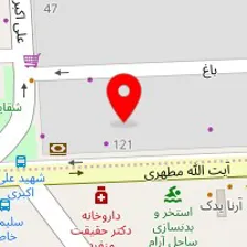 پت شاپ آسوپد