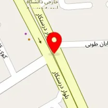 کلینیک جراحی،درمانی حیوانات خانگی رویان