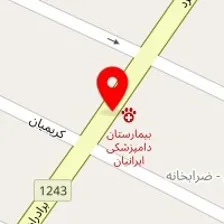 پت کلینیک
