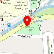 باربری پونک