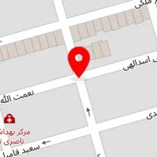 باربری پونک