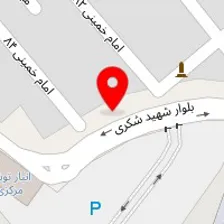 باربری همسفر