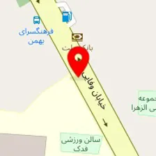 فروشگاه دارت ناوک