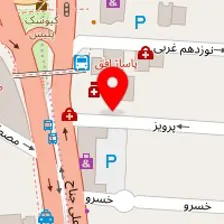 دارالترجمه ناتی اکسیر