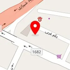 باشگاه ورزشی گلد کلاب