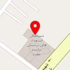 زمین چمن برازنده مقدم