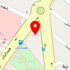 باشگاه شاهین