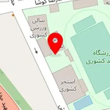 باشگاه دارت ایران