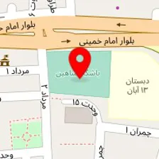 زمین ورزشی شاهین