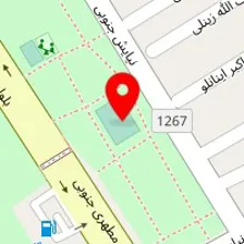 زمین فوتبال محمد سلیمانی