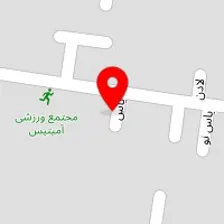 مجموعه ورزشی آمیتیس