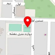 باشگاه اسکیت پادرا