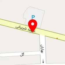 باشگاه بدنسازی ارشدی