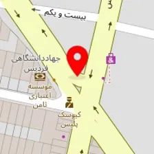 باشگاه ناژین