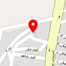 باشگاه بوکس پناهی