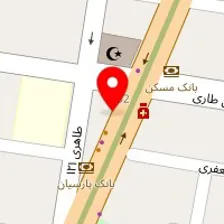 دکتر فریده حسین زاده