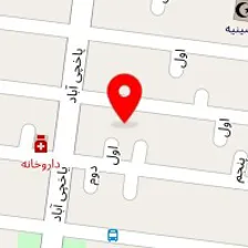 دکتر نیر صادقی