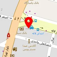 دکتر شهربانو سعیدی