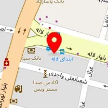 دکتر فرزانه عربشاهی