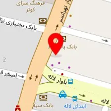 دکتر فرزانه ضیا